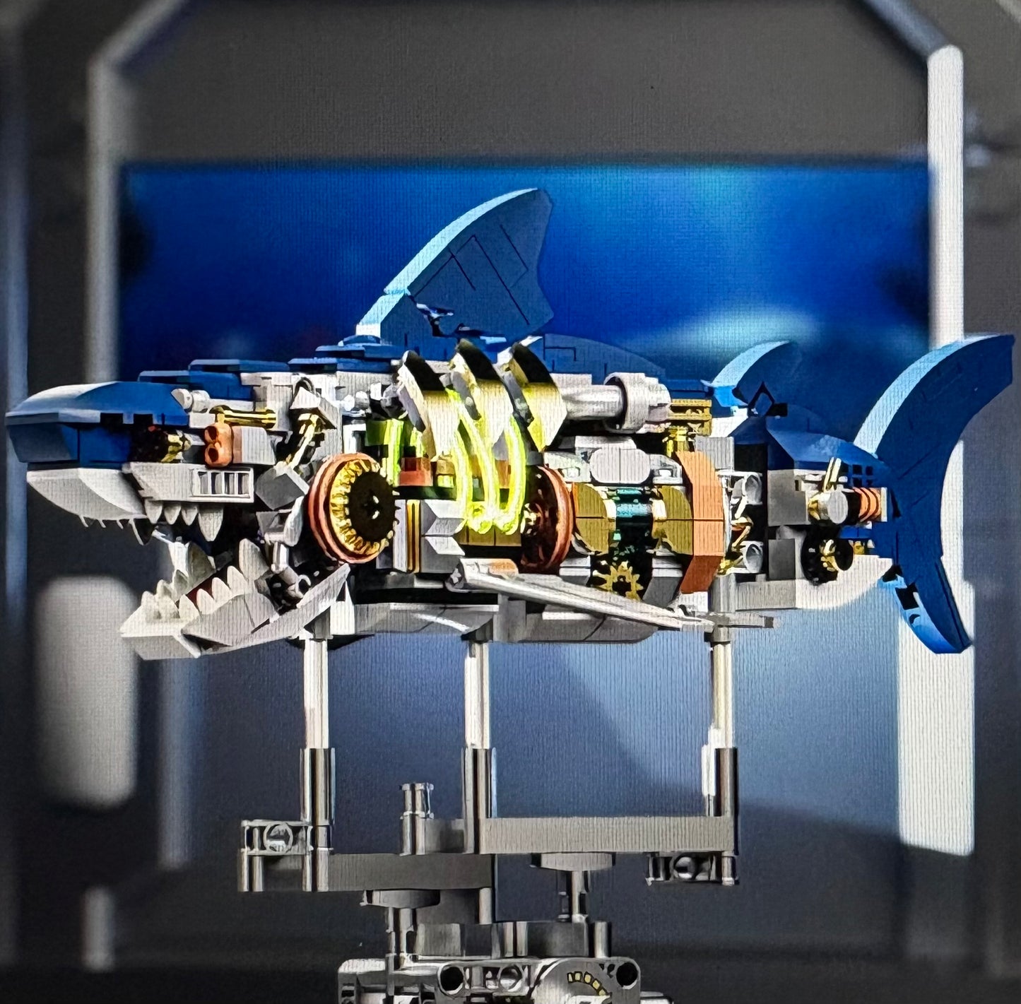 Shark Building Set